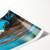 Extra large rolled print of line art flowers with muted earth tones, ideal for large living room wall art.