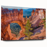 Acrylic print of Bryce Canyon with red and orange rock formations, ideal for dining room decor.