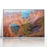 Acrylic print of Bryce Canyon with vibrant red and orange hues, framed in white.