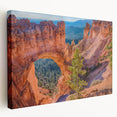 Stretched canvas of Bryce Canyon in Utah featuring red and orange rock formations, ideal for kitchen wall art.