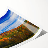 Extra large wall art featuring line art flowers in black and white on a rolled print, suitable for large living room spaces.