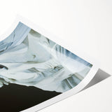 Extra large rolled print of line art flowers over a muted Washington DC Lincoln Memorial scene.