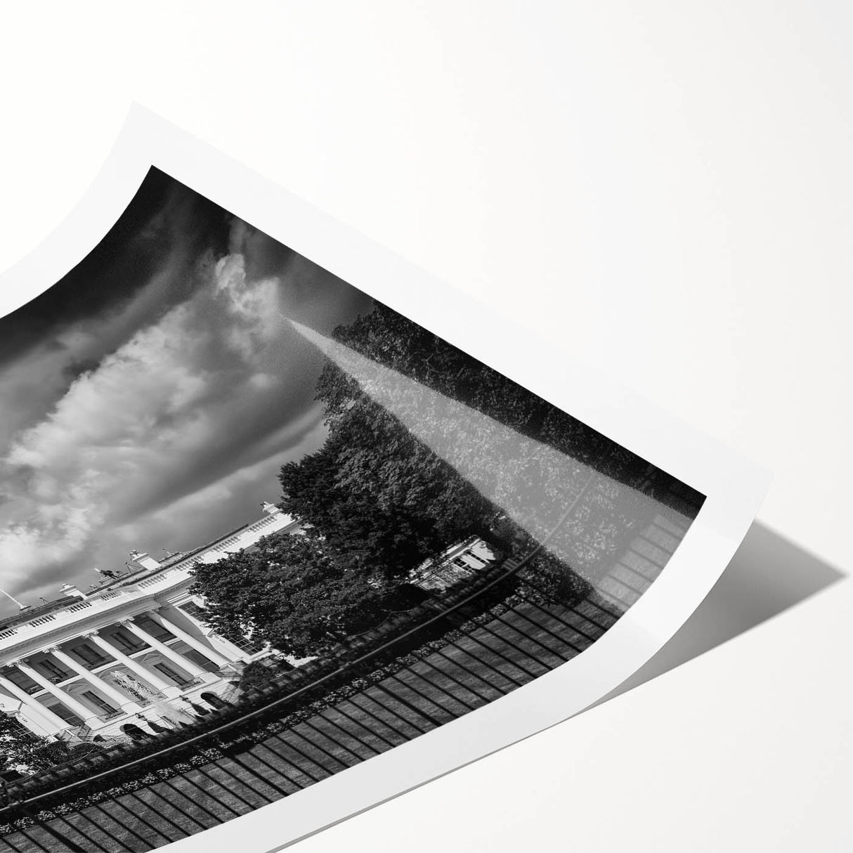 Extra large wall art featuring line art flowers and the White House, in muted tones on rolled print.
