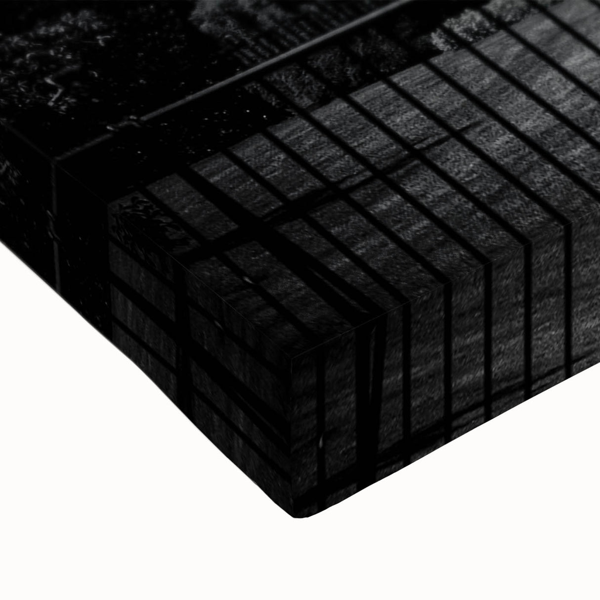 Black and white large art canvas of the White House in Washington D.C., suitable for bedroom wall decor.