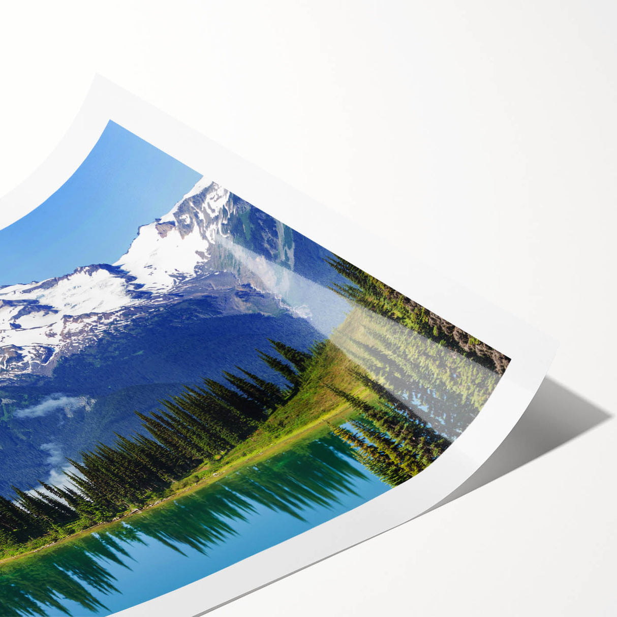 Extra large wall art featuring a line art design of Mount Rainier with floral accents in a rolled print format.