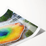 Extra large wall art featuring line art flowers in neutral tones, ideal for large living room decor.