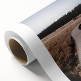 Art deco poster of autumn trees with orange and brown hues on rolled canvas.