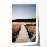 Extra large rolled print of autumnal trees in vibrant orange and red tones, ideal for art wall dining room.