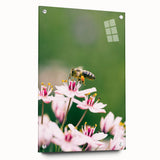 Large abstract wall art depicting spring season in vibrant green and pink hues on acrylic glass.