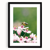 Extra large abstract art print featuring textured, colorful spring motifs in a black frame, ideal for living room decor.