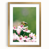 Extra large abstract art print featuring textured spring-themed motifs in soft green and yellow tones on a gold-framed…