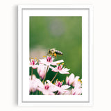 Abstract art print featuring swirling pastel shades on a white framed canvas, suitable for bedroom or dining room decor.