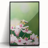 Large abstract wall art featuring vibrant spring colors on a framed acrylic, depicting mid-century modernist style.