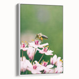 Vintage poster art of spring season on extra large framed canvas, featuring colorful flora against a black background.