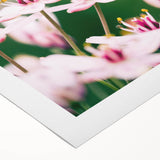 Art deco poster featuring a spring scene with soft pastel colors on rolled canvas, ideal for dining room wall art.