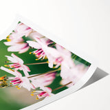 Extra large wall art featuring line art flowers in pastel shades on rolled canvas, ideal for large living room decor.