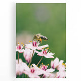 Black and white large canvas depicting a minimalist spring scene, ideal for kitchen wall art.