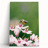 Black and white stretched canvas featuring a spring landscape, ideal for kitchen wall art or bedroom ambiance.