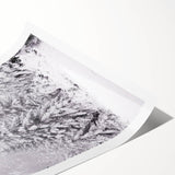 Extra large wall art of line art flowers in black on white, rolled print format, suitable for large living room decor.