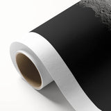 Moon Exploration Wall Art - NASA Space Missions Canvas Print