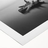 Minimalist Driftwood Motion Photography – Black & White Wall Art