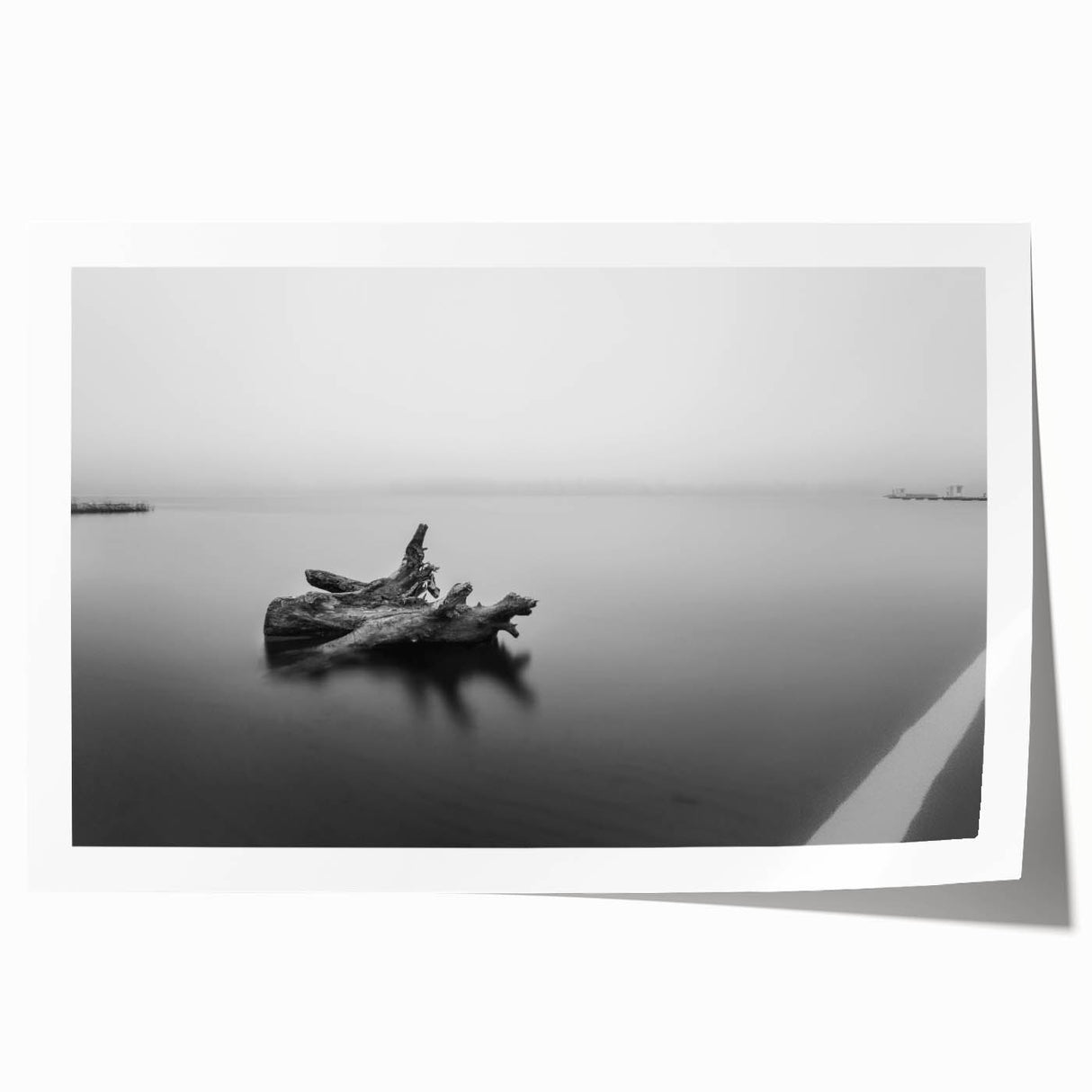 Minimalist Driftwood Motion Photography – Black & White Wall Art
