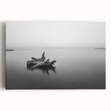 Minimalist Driftwood Motion Photography – Black & White Wall Art