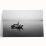 Minimalist Driftwood Motion Photography – Black & White Wall Art