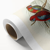 Classic Romantic Paintings: Pennant's Parakeet - Romantic Art Prints