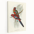 Classic Romantic Paintings: Pennant's Parakeet - Romantic Art Prints