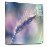 Floral and botanical acrylic glass artwork displayed from the side, featuring vibrant colors and intricate designs, secured with stylish pins for a modern aesthetic.