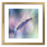 Elegant gold-framed botanical print featuring intricate floral designs, showcasing vibrant colors and detailed illustrations, perfect for home decor or art enthusiasts.