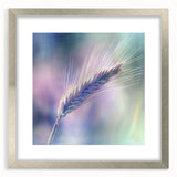 Floral and botanical frame with a silver mat, showcasing intricate design details and a front view. Ideal for home decor, art enthusiasts, and gifting.