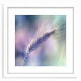 Floral and botanical frame artwork with a white mat, showcasing vibrant colors and intricate details, ideal for home decor or gift-giving.