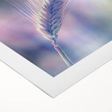 Floral and botanical rolled canvas art showcasing vibrant colors and intricate designs, elegantly packaged in a protective cardboard tube for easy display.