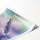 Floral and botanical rolled print showcasing intricate flower designs in vibrant colors, elegantly packaged in a durable cardboard tube for safe shipping and display.