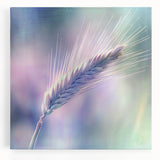 Floral and botanical stretched canvas artwork showcasing vibrant colors and intricate details, elegantly displayed for home decor enhancement. Perfect for nature-inspired interiors.