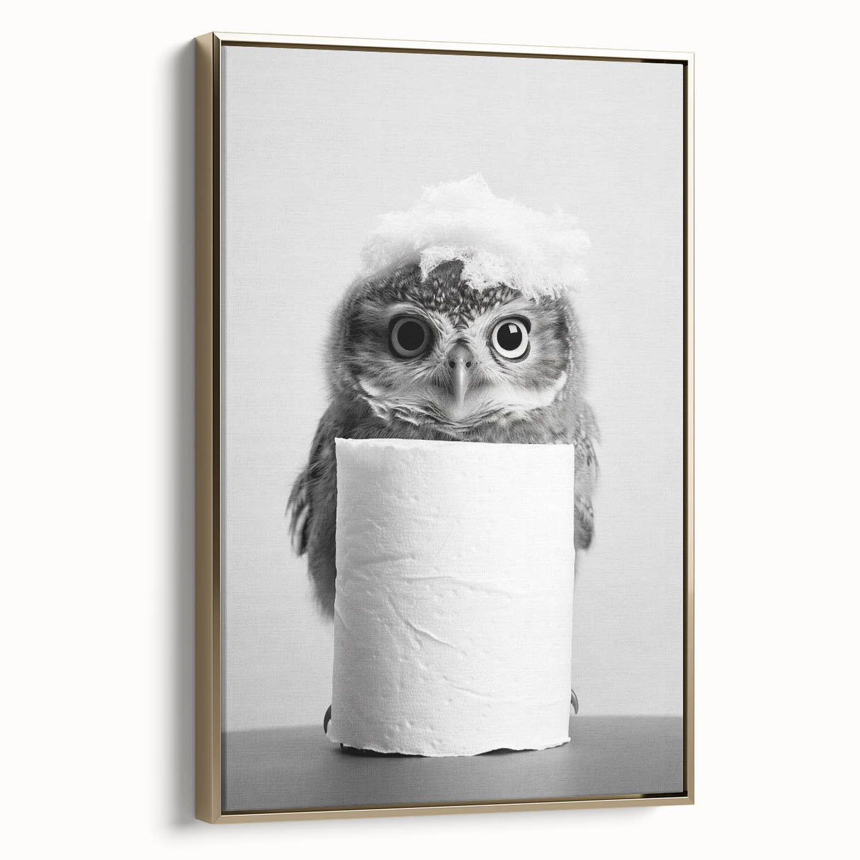 Bathroom Canvas Art - Cute Owl with Toilet Paper Roll
