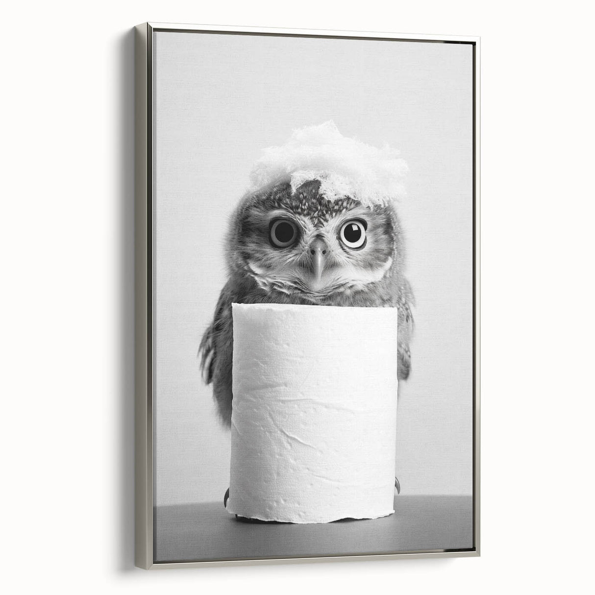 Bathroom Canvas Art - Cute Owl with Toilet Paper Roll