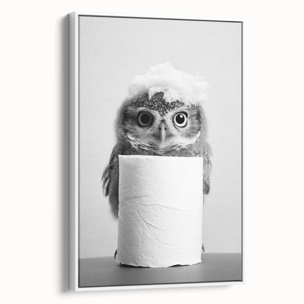 Bathroom Canvas Art - Cute Owl with Toilet Paper Roll
