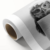 Bathroom Canvas Art - Cute Owl with Toilet Paper Roll