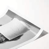 Bathroom Canvas Art - Cute Owl with Toilet Paper Roll