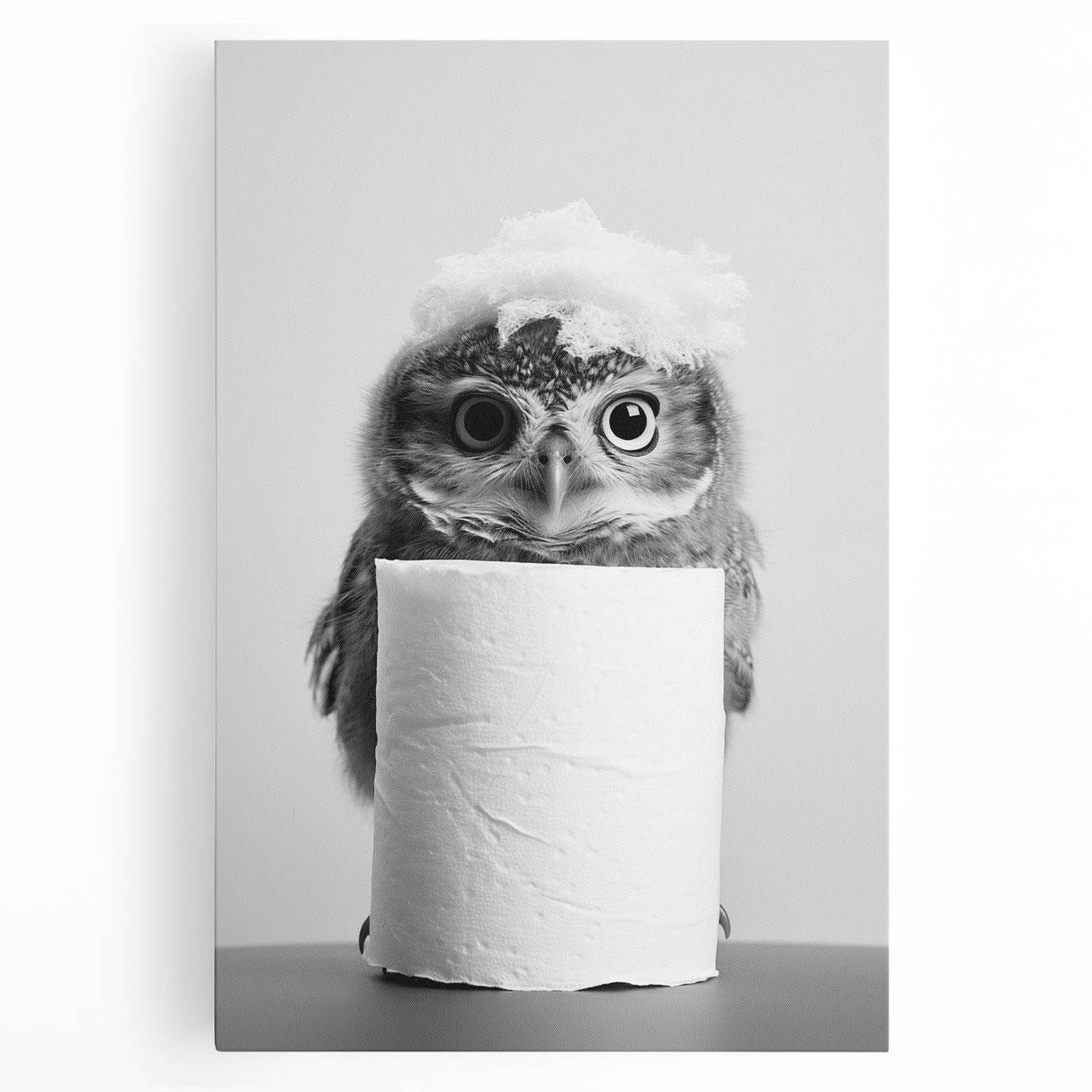 Bathroom Canvas Art - Cute Owl with Toilet Paper Roll
