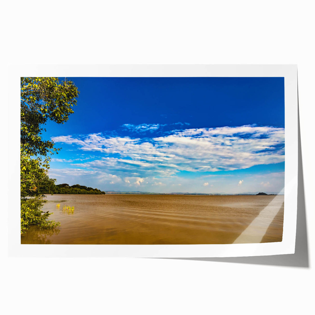 Extra large rolled print of an Ethiopian landscape featuring vibrant floral elements, ideal for art wall dining room.