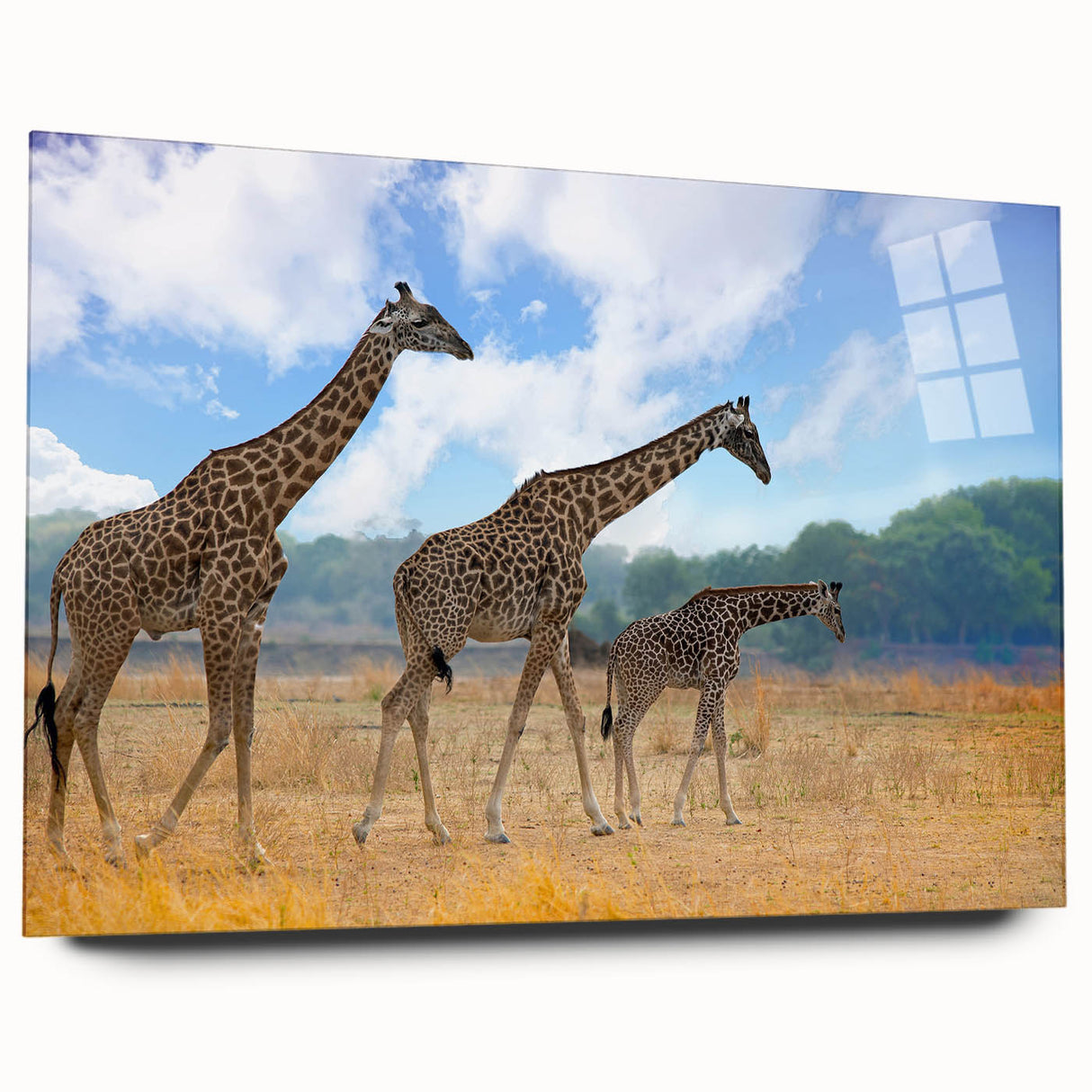 Large abstract depiction of a Zambia landscape on acrylic glass, in earthy tones, ideal for bedroom or dining room art.