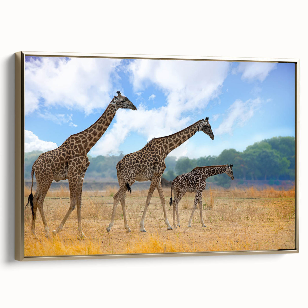 Framed canvas of a Zambian landscape, featuring a vintage-style black and gold color scheme, ideal for bedroom wall art.