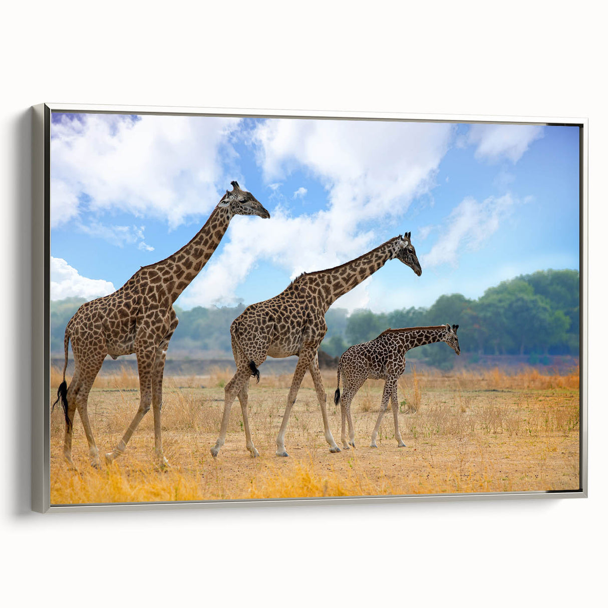 Framed canvas featuring a vintage-style African landscape with vibrant earth tones.