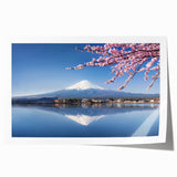 Extra large rolled print depicting Mount Fuji with pink cherry blossoms in foreground, ideal for art wall dining room.