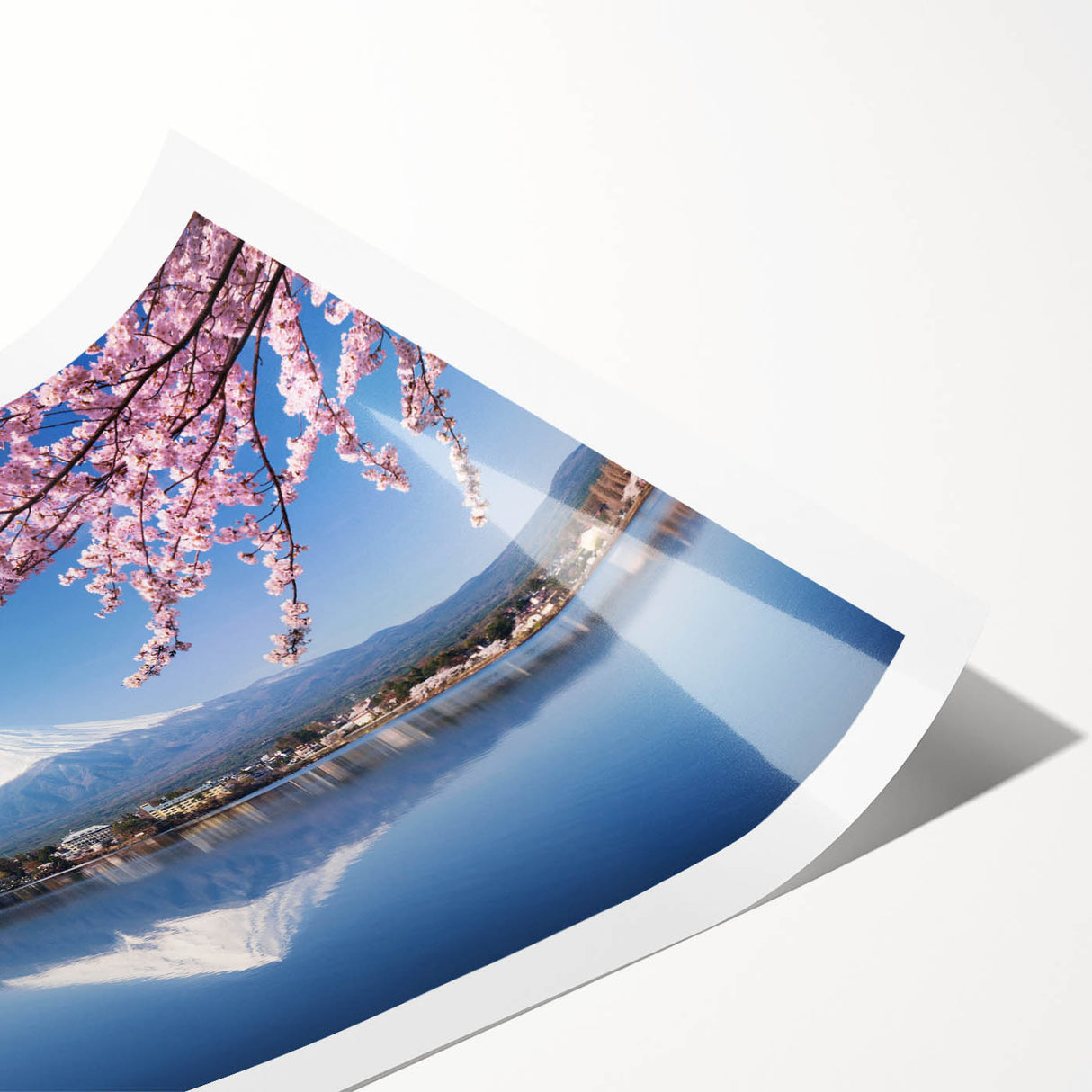 Extra large wall art featuring a line art depiction of Mount Fuji with floral accents in muted colors.