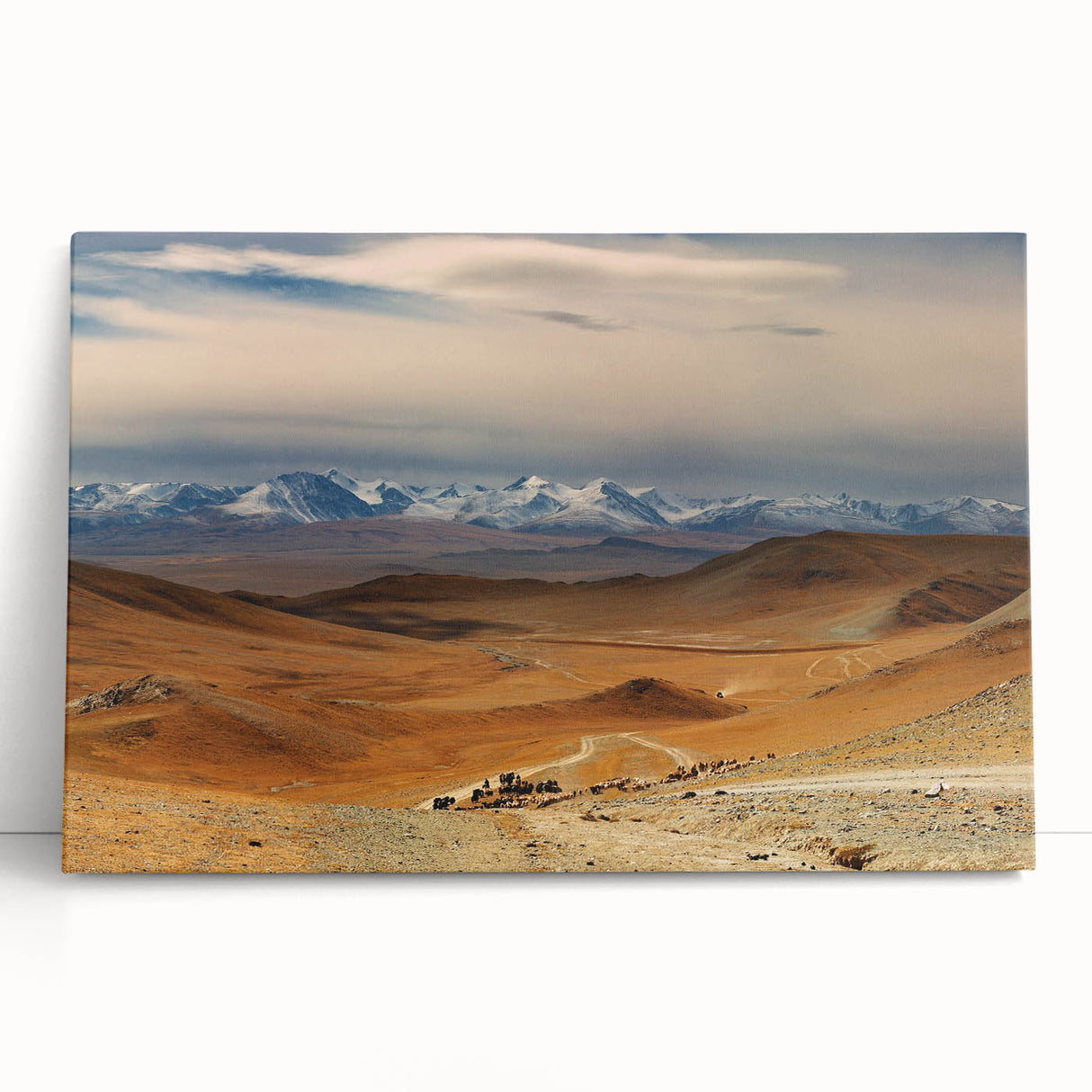 Black and white photograph of Mongolian landscape on large stretched canvas, ideal for kitchen wall art or bedroom ambiance.